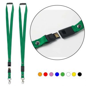 Lanyard with safety buckle and USB
